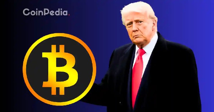 Биткойн: Конец медвежьих рынков или новые вызовы?