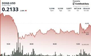 Догічойн: волатильність та накопичення китів на фоні переказу $200 млн на Binance