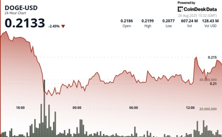 Догічойн: волатильність та накопичення китів на фоні переказу $200 млн на Binance