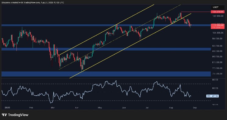 Биткойн стабилизируется на $110K: угроза дальнейшего падения сохраняется