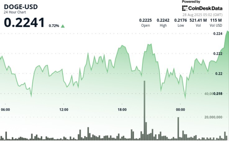 Проблеми DOGE: Переміщення $200 млн до Binance викликало занепокоєння на ринку