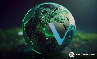 VeChain и BCG организуют хакатон в Кембридже