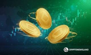 Useless Coin: сохранение поддержки и возможный прорыв к новым максимумам