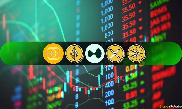 Криптоаналіз 29 серпня: Тенденції Ethereum, Ripple, Cardano, Binance Coin та HYPE