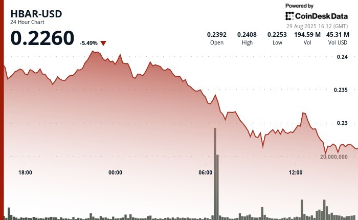 HBAR під тиском: трейдери аналізують ключові рівні підтримки після різкого розпродажу