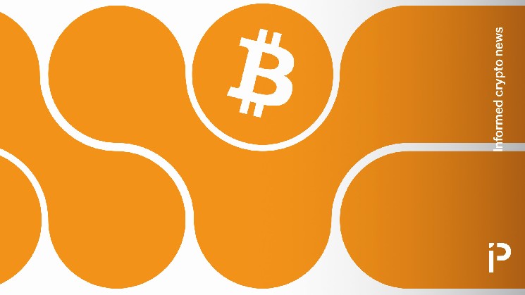 Cøbra предупреждает: Knots угрожает статусу Bitcoin Core как эталонного клиента сети