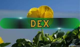 DeFi против CEX: CZ предсказывает победу децентрализованных бирж в торговле