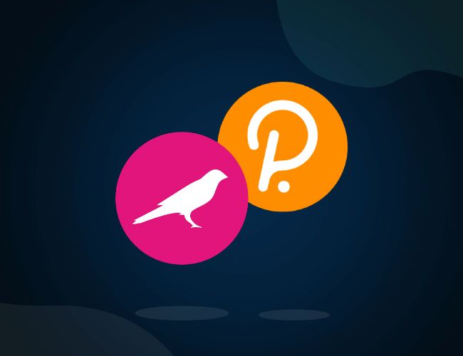 Аналитика Polkadot и Kusama на Dune: партнерство с Colorful Notion