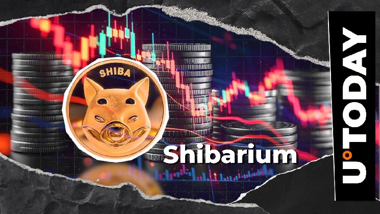 Shibarium зазнала падіння на 99,8%: щоденні транзакції досягли рекордно низького рівня