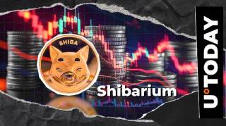Shiba Inu: Резкое падение транзакций в сети Shibarium на 99.8% и предупреждения для сообщества SHIB о фальшивках