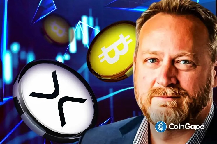XRP: Вторая по популярности криптовалюта на Уолл-Стрит, считает CEO Canary Capital