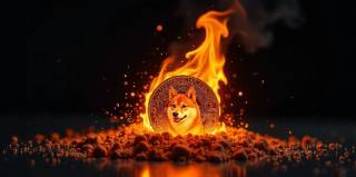 Shiba Inu на пороге прорыва: ключевые факторы влияния на цену токена
