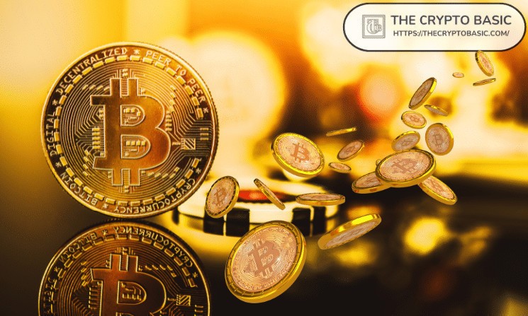 Володар одного Bitcoin: шлях до генеруючого багатства в найближчому десятилітті