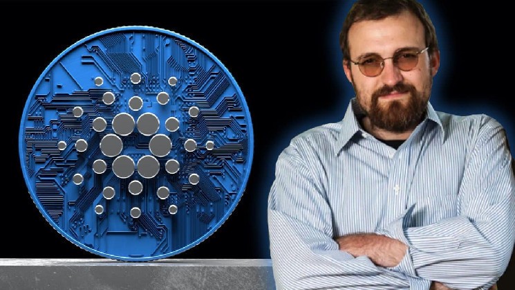 Чарльз Хоскинсон: Cardano должен превзойти Ethereum и стать лидером в блокчейн-пространстве