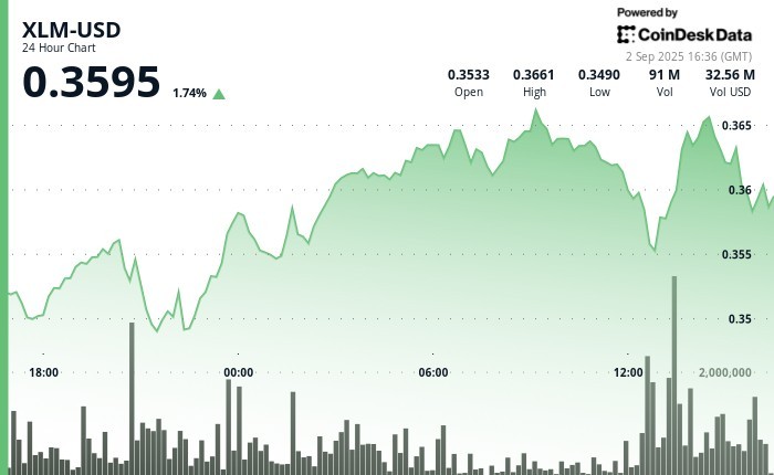 Stellar Lumens (XLM) зростає на 3% в очікуванні оновлення протоколу та зміцнює позиції в ринковому сегменті.