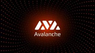 Мемекоин Avalanche (AVAX): крах проекта и потерянные средства