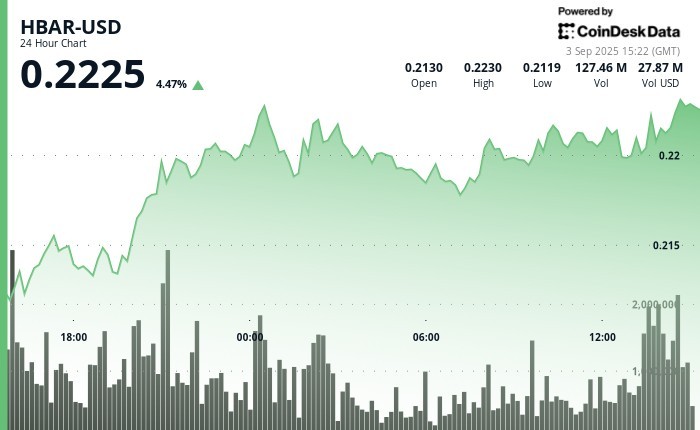 HBAR зростає на 3%: потенціал прориву та інституційне накопичення на ринку