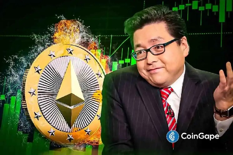 BitMine Тома Ли увеличила запасы эфира на 358 миллионов долларов, что привело к росту курса ETH выше рыночных показателей.