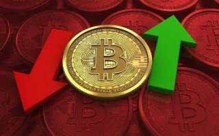 Волатильність Bitcoin та альткойнів: як кореляція впливає на ринок