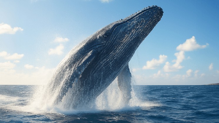 Рух сплячих біткоїнів: активізація старих гаманців у вересні 2023 року