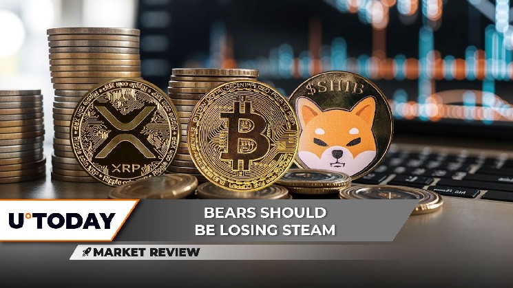 Ведмежий тиск на XRP, Shiba Inu та Bitcoin: чи відновляться ці криптовалюти?