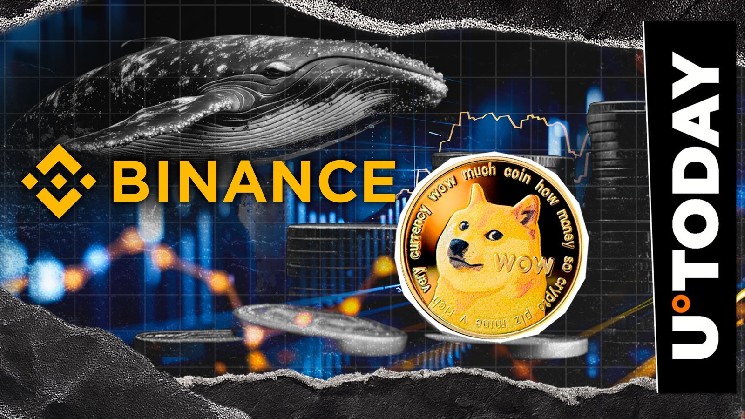 Кит Dogecoin вивів 10,366,683 DOGE з Binance після двох років бездіяльності