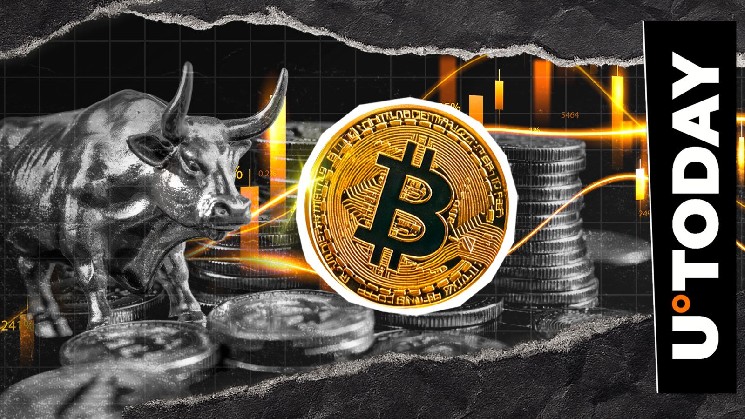 Кити повертаються: $55 мільйонів у біткойнах вилучено з Binance на фоні відновлення ринку