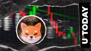 Шиба Ину фиксирует неожиданный 0% рост: что происходит с сжиганием токенов?