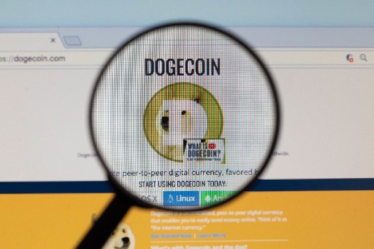 Запуск ETF на Dogecoin у США можливий вже цього тижня: що очікувати від нового крипто-продукту?
