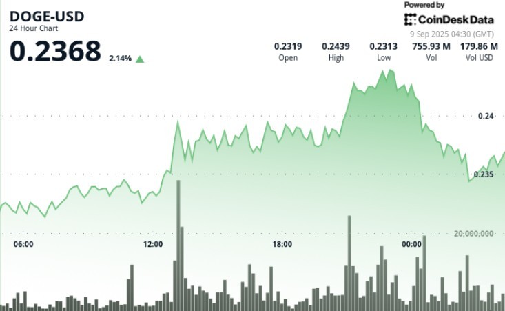Ціна DOGE коливається: трейдери спостерігають за підтримкою на рівні $0.234 та ціллю в 25 центів