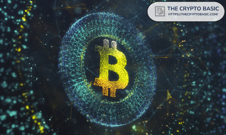 MicroStrategy обогнала США и Китай в держании биткоинов