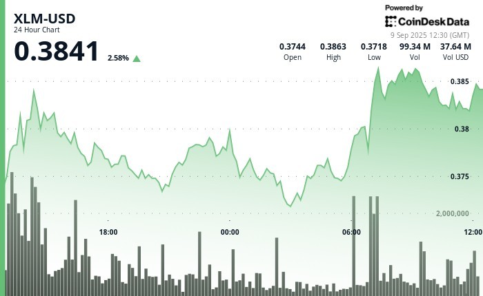 Зростання токена XLM Stellar на 4% через інституційний інтерес та нові можливості для корпоративних клієнтів