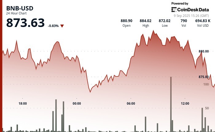 BNB: Ціна зросла до 884 доларів, але ринок зазнав розпродажу, збитки відновили прибутки