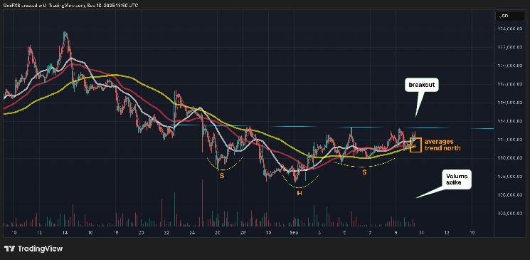 Біткоїн відновлюється: аналітики прогнозують зростання до $120,000 після формування «Голови та плечей»