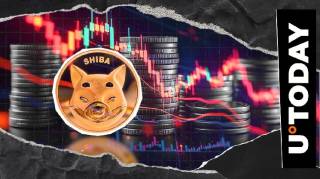 Массовый отток 2,6 миллиарда SHIB с бирж: возможности для роста или новый риск?