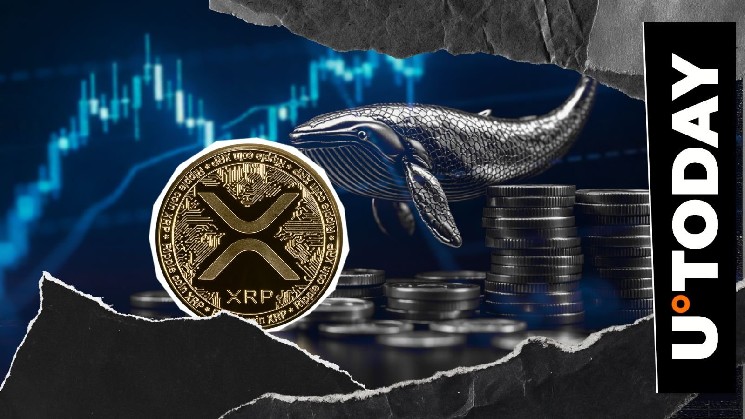 XRP втрачає 40 мільйонів токенів через великі продажі мільйонерів, але ціна залишається стабільною