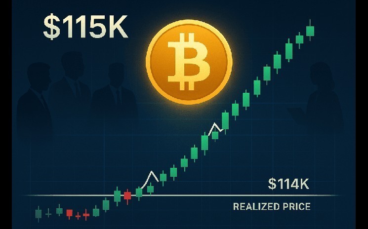 Біткойн перевищив 115 тисяч доларів: аналітики розглядають перспективи зростання та корекції