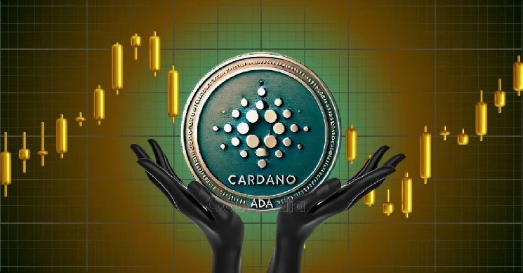 Чи зможе Cardano (ADA) обігнати BNB? Прогнози експертів щодо зростання ціни до $12.