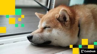 Мемекоины под давлением: Шибариум взломан на $2,4 млн, SHIB и Dogecoin теряют позиции