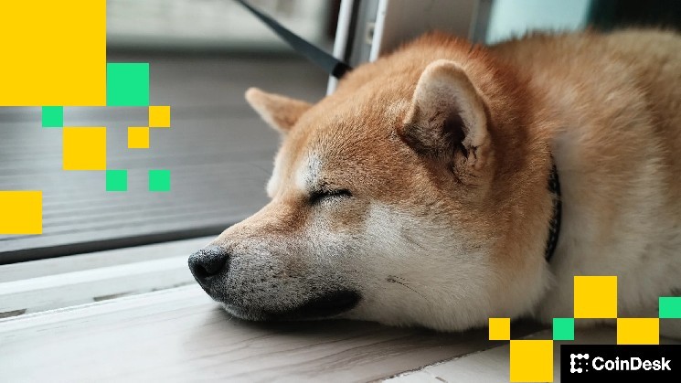 Мемекоины под давлением: Шибариум взломан на $2,4 млн, SHIB и Dogecoin теряют позиции