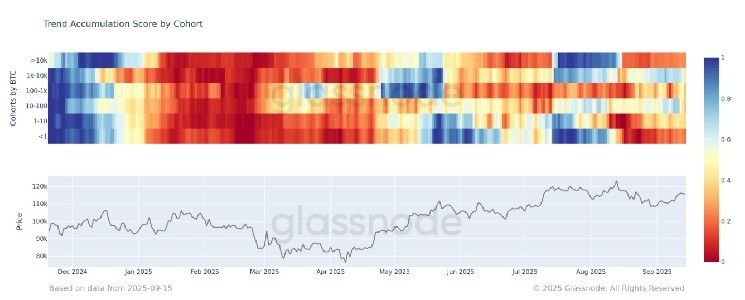 Всі категорії гаманців біткоїна повернулися до продажу: ринок у стадії консолідації