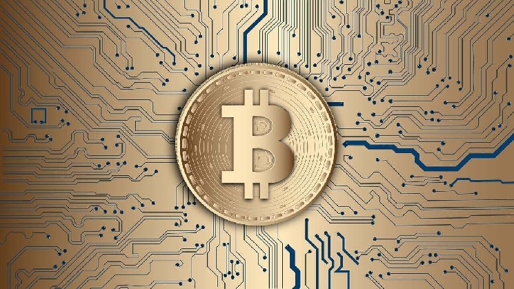 Заработок на криптовалюте в условиях медвежьего рынка: как трейдеры получают прибыль?