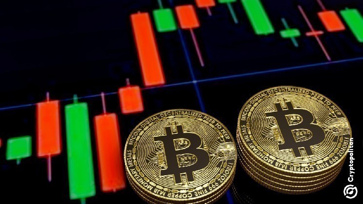 Next Technology Holding Inc. зосереджується на накопиченні Bitcoin, випускаючи акції на $500 мільйонів