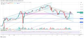 Чому Bitcoin подорожчав на 10% за останню добу?