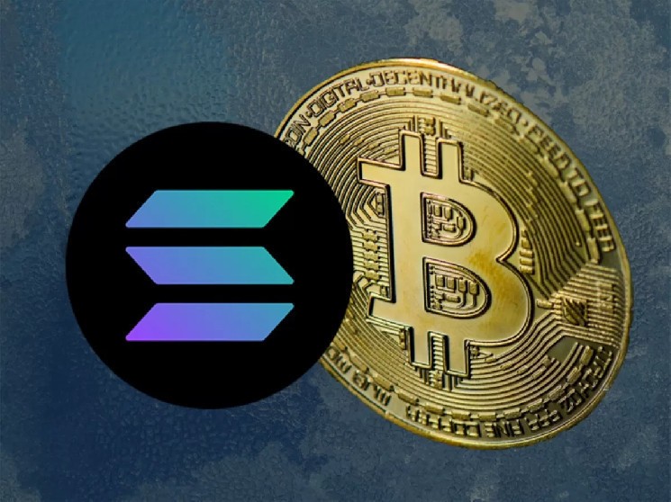 Pantera Capital инвестировала 1,1 миллиарда долларов в Solana, обгоняя биткойн и подчеркивая долгосрочные перспективы криптоинвестиций