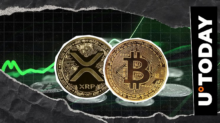 XRP проти Bitcoin: Чи можливе перевершення?