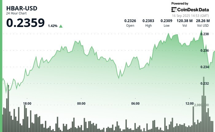 HBAR зазнає тиску продажів після короткочасного зростання