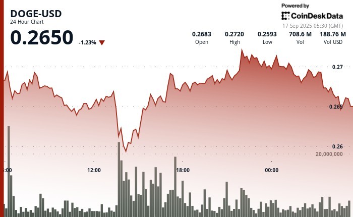 Інституції збільшують інвестиції в Dogecoin на фоні падіння ціни та очікування ETF