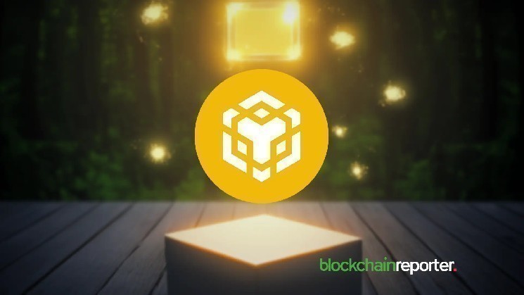 BNB Chain: Лидерство в DeFi с TVL 9,87 миллиарда долларов и разнообразием проектов