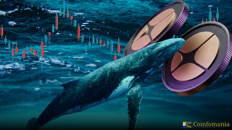 Кити накопичують токени ASTER на понад 10 мільйонів доларів: нові перспективи для інвесторів.